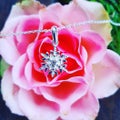 Arctic flower riipus
